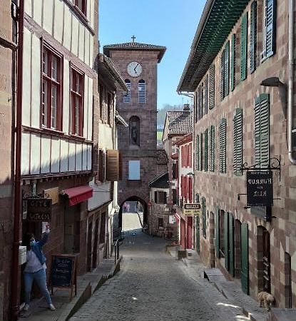 Gite Ultreia Vertes Montagnes Saint-Jean-Pied-de-Port Ngoại thất bức ảnh
