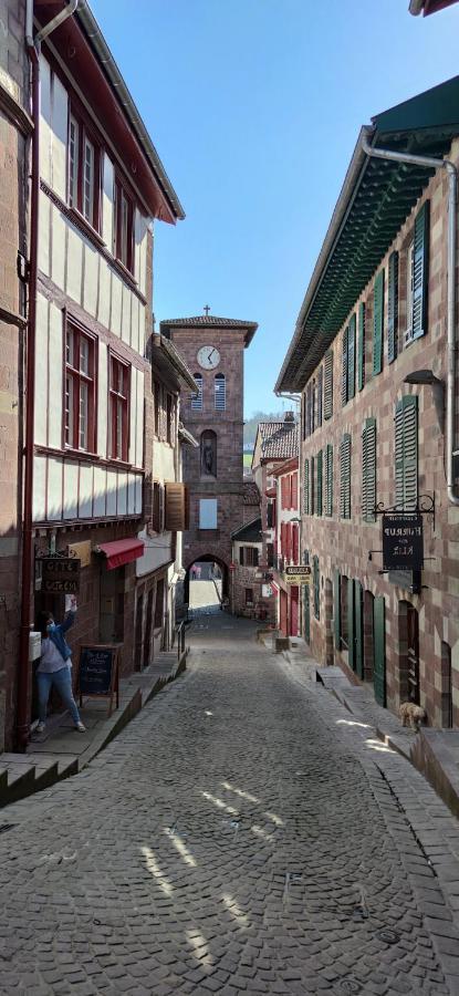 Gite Ultreia Vertes Montagnes Saint-Jean-Pied-de-Port Ngoại thất bức ảnh